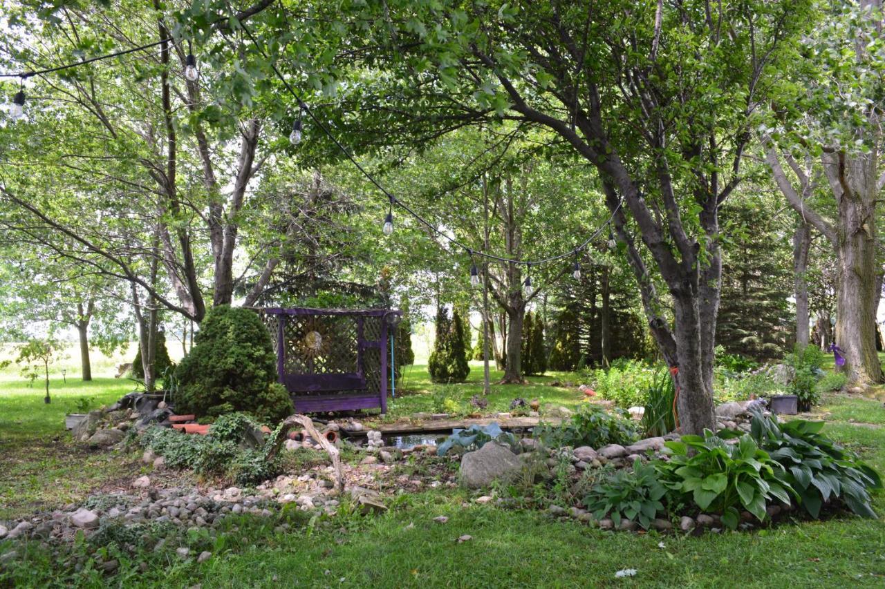Birds Point Cottage On A Cliff Facing Lake Erie. Wheatley Exteriér fotografie